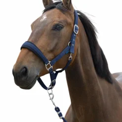 Norton - Licol et longe Large marine