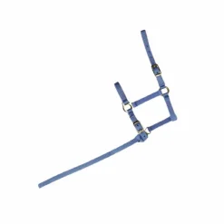 Norton - Licol foal + longe bleu ciel