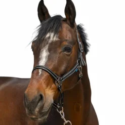 Norton - Licol Grooming noir