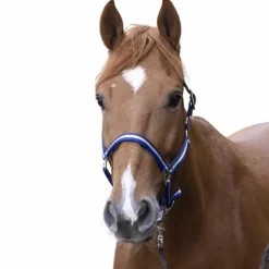 Norton - Licol nylon doublé cuir marine/ blanc/ bleu