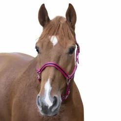 Norton - Licol nylon doublé cuir framboise/ noir