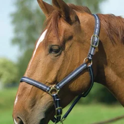 Norton - Licol nylon doublé cuir marine/ ciel