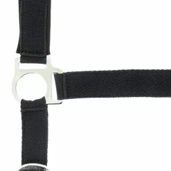 Norton - Licol nylon doublé néoprène noir