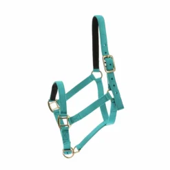 Norton - Licol nylon doublé cuir turquoise