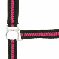 Norton - Licol nylon doublé néoprène noir/ framboise