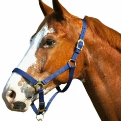 Norton - Licol nylon muserolle réglable marine