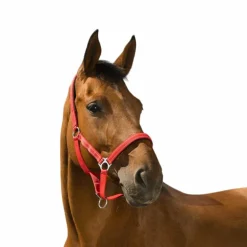 Norton - Licol Reflective rouge