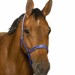 Norton - Licol Reflective bleu