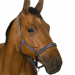 Norton - Licol Reflective marine