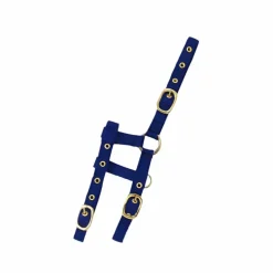 Norton - Licol réglable mini bleu roi