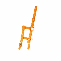 Norton - Licol réglable mini orange