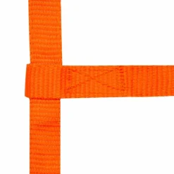 Norton - Licol réglable mini orange