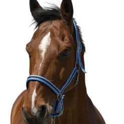 Norton - Licol Satine bleu ciel/ noir