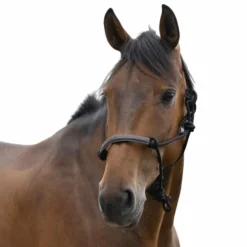 Norton - Licol éthologique corde/ synthétique noir