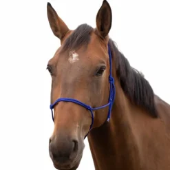 Norton - Licol éthologique doux bleu roi