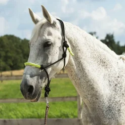 Norton - Licol éthologique et longe Fun colour noir/vert