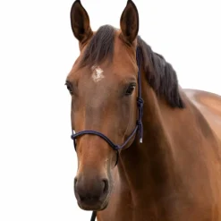 Norton - Licol éthologique doux poney marine