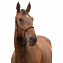 Norton - Licol éthologique doux poney noir