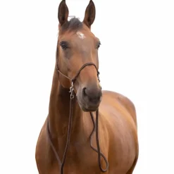 Norton - Licol éthologique avec rênes brun