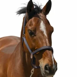 Norton - Licol Zari marine