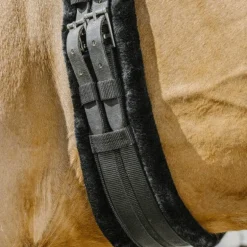 Norton - Sangle élastique courte Smooth noir