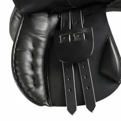 Norton - Selle éducative