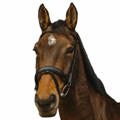 Norton Pro - Bridon Dark noir