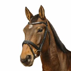 Norton Pro - Bridon Galon noir