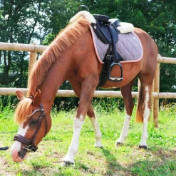 Norton Pro - Bridon Miss havane