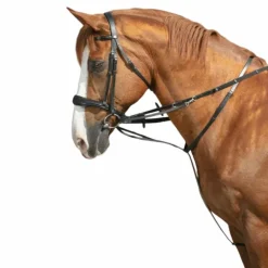 Norton pro - Enrênement Thiedeman noir