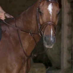 Norton Pro - Martingale à anneaux havane