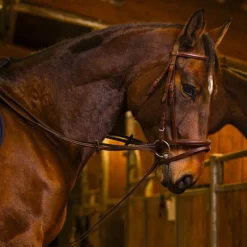 Norton Pro - Rênes allemandes sangle havane