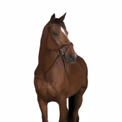 Norton Pro - Rênes en caoutchouc havane