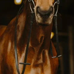 Norton Pro - Rênes lisses noir