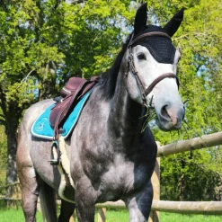 Paddock Sports - Bonnet à strass marine