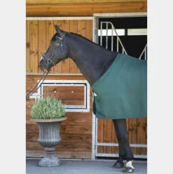 Paddock Sports - Chemise de présentation vert 0g