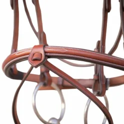 Pénélope - Bridon Hunter US noisette et havane