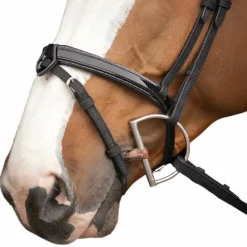 Pénélope - Bridon Oxford noir