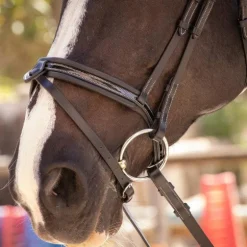 Pénélope - Bridon Smoothie avec rênes noir