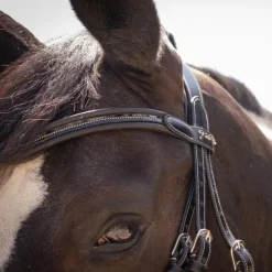 Pénélope - Bridon Smoothie avec rênes noir