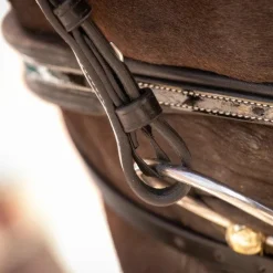 Pénélope - Bridon Smoothie avec rênes noir