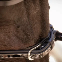 Pénélope - Bridon Smoothie avec rênes noir