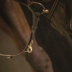 Pénélope - Enrênement Howlett Martin collier noir