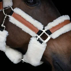 Pénélope - Licol mouton et cuir noir/ beige