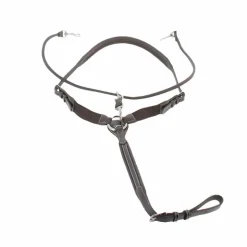 Pénélope - Martin Collier havane