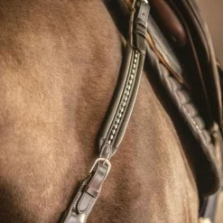 Pénélope - Martin Collier havane