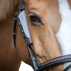 Pénélope - Oeillères Blinkers havane