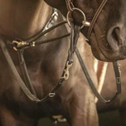 Pénélope - Rênes Howlett cuir noir