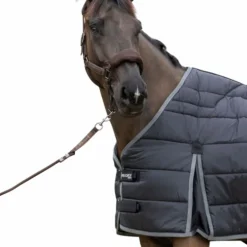 Pro Confort - Doublure ergonomique Gab noir 300g