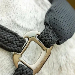 Pro Confort - Ensemble licol ergonomique et longe Dorai en mesh noir